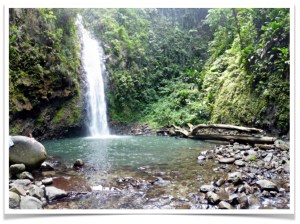 cascades martinique natiyabel